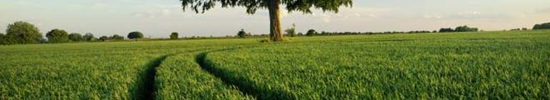 Brug Opentracker til at skabe vækst på  dit website