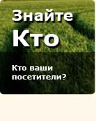 see who your visitors are