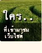 ผู้เข้าชมเว็บไซต์
